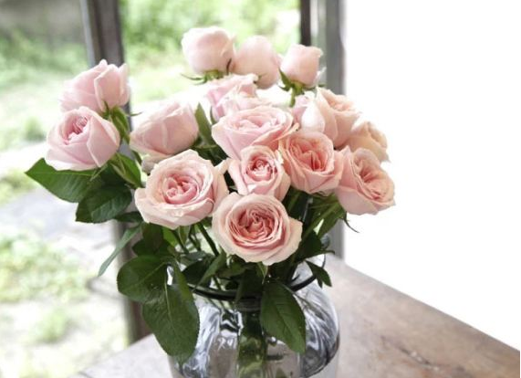 成都保鲜库租赁