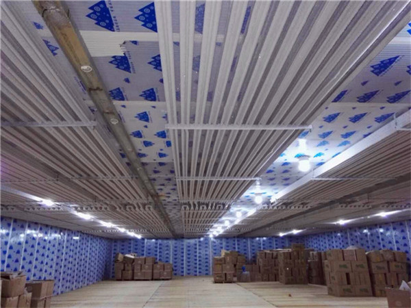 成都冷冻库租赁 成都冷冻库租赁