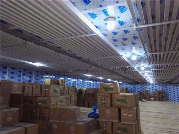 四川速冻库租赁 四川速冻库租赁