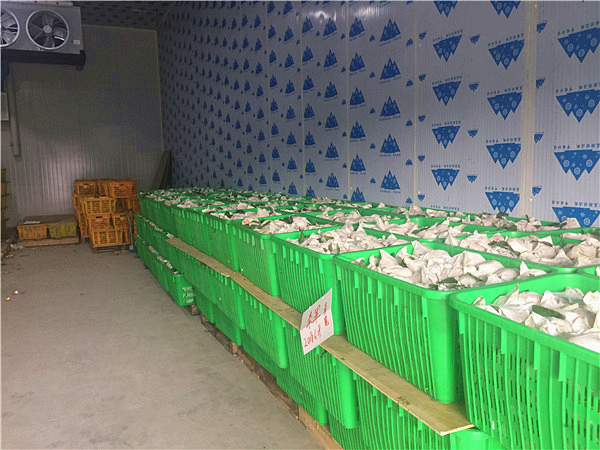 成都气调保鲜库租赁 成都气调保鲜库租赁