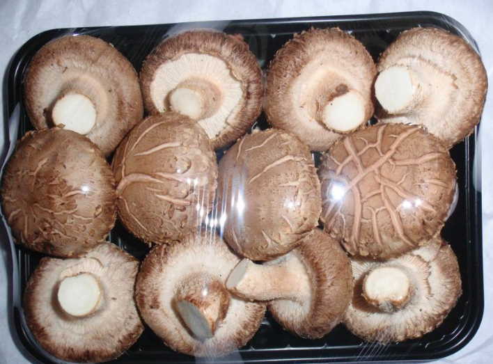 成都冻库租赁 成都冻库租赁