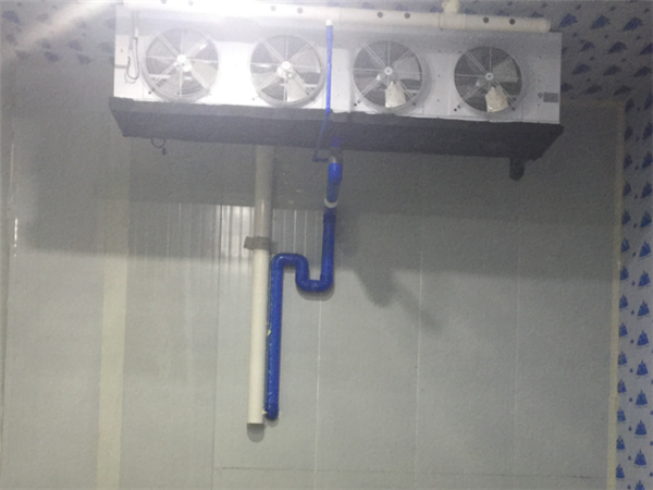 成都冻库租赁 成都冻库租赁