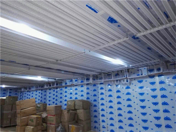 四川速冻库租赁 四川速冻库租赁