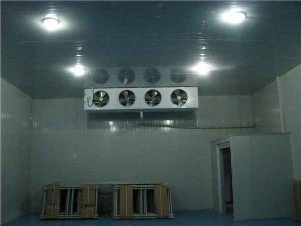 成都冻库租赁 成都冻库租赁