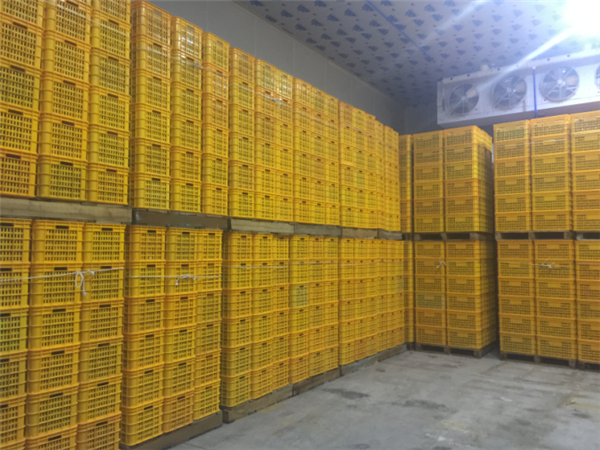 四川保鲜库租赁