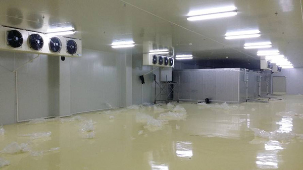 1577764341506553.jpg timg (8)jpg2timg (8).jpg