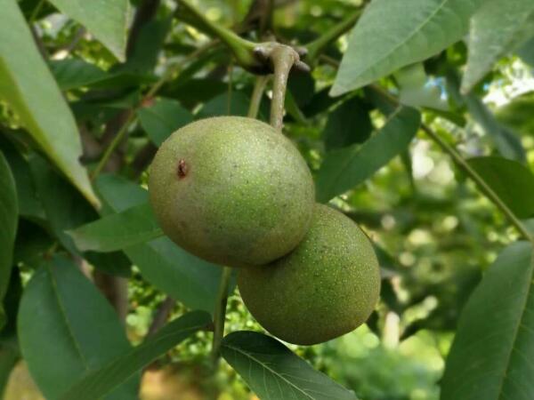 果蔬保鲜库 果蔬保鲜库