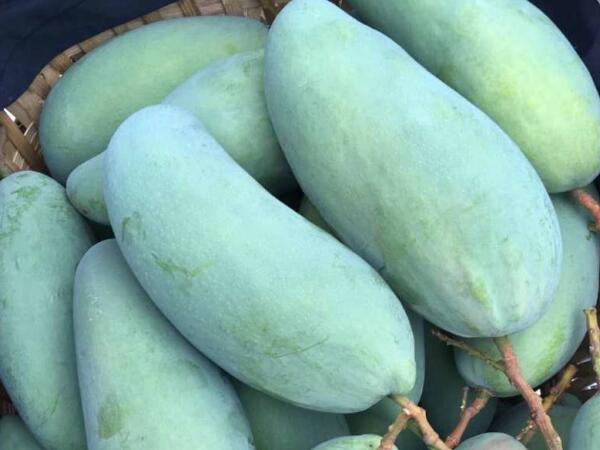 果蔬保鲜库 果蔬保鲜库