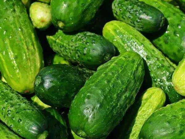 果蔬保鲜库出租 果蔬保鲜库出租