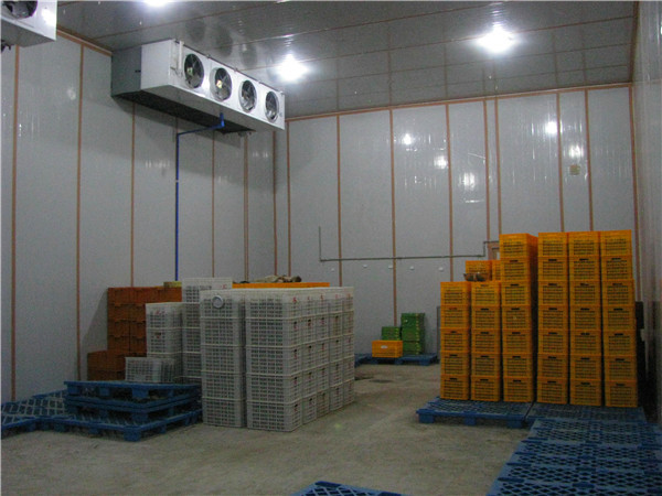 成都冷库 成都冷库