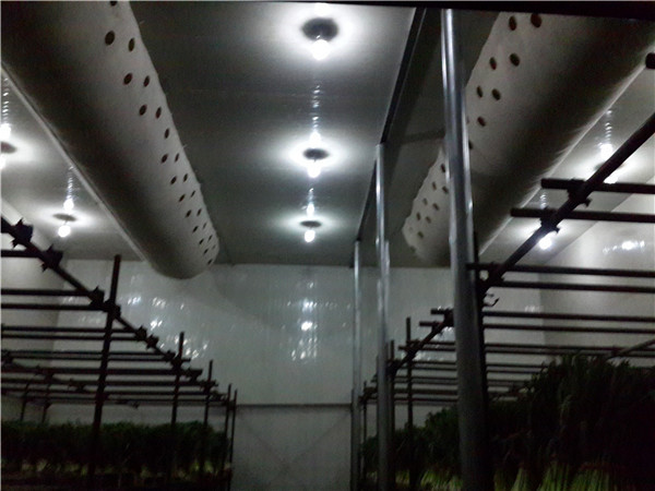 成都水果保鲜库