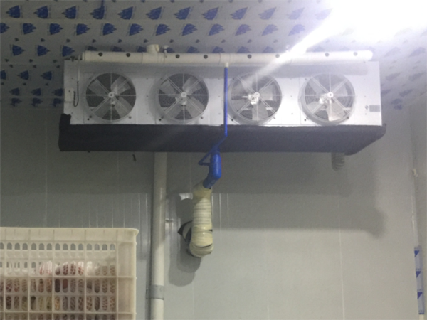 成都冻库出租 成都冻库出租