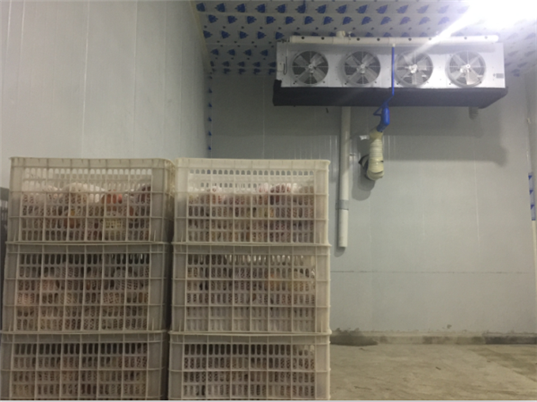 四川速冻库出租